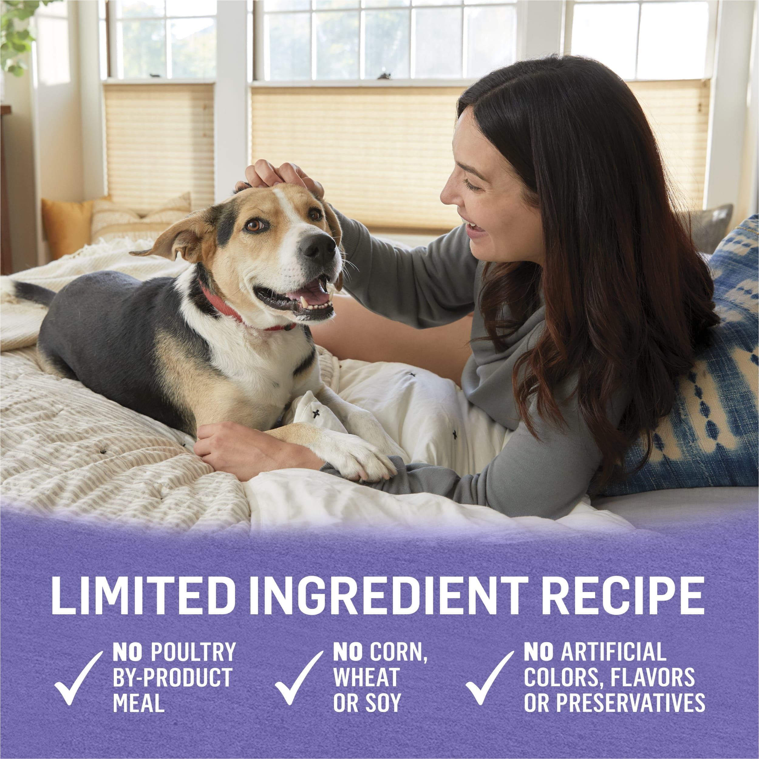 (3 pack) Purina Beyond Ground Entree Wet Dog Food Natural Soft Grain Free Turkey & Sweet Potato, 13 oz Can