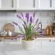 thumbnail image 1 of Planta artificial moderna Artego con maceta decorativa Lavanda Compacta Pack de 2 unidades 34cm de alto, 1 of 9