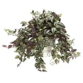thumbnail image 2 of Nearly Natural 18in. Wandering Jew with Metal Planter Artificial Plant, Green, 2 of 2