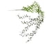 thumbnail image 2 of Rama de ratán artificial decorativa de 5 tenedores, verde, multicolor, de plástico, para colgar en la pared | Simulación realista para arreglos florales de interior, bodas y fiestas., 2 of 6
