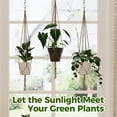 thumbnail image 5 of GENTINGBRO Hanging Plant Pot Plant Hanger for Indoor Outdoor,hanging basket for balcony、window, 5 of 6