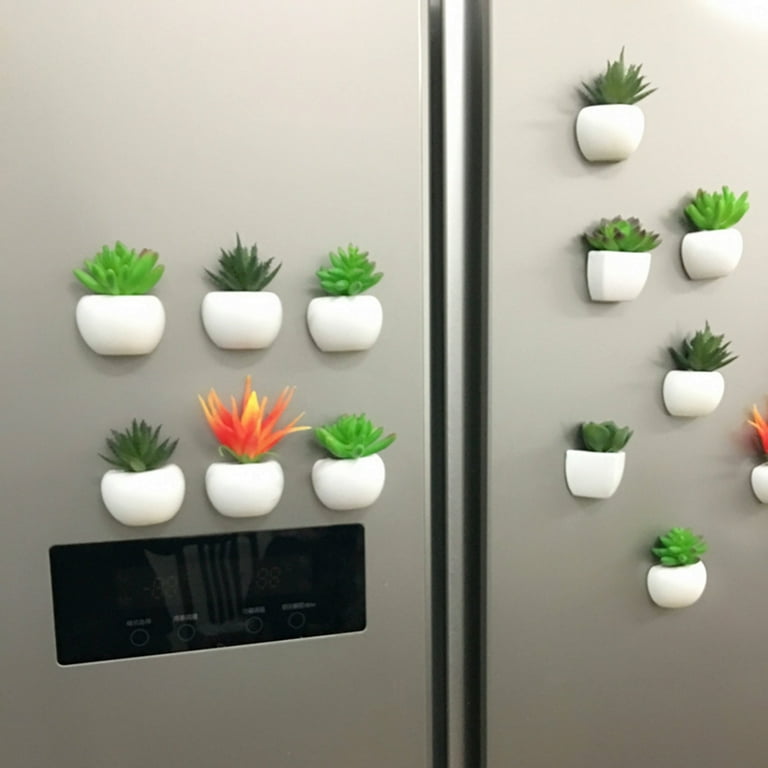 Lot de 12 Pièces Cactus Aimant 3D Frigo, Autocollant Réfrigérateur Aimant  Decoratifs pour la Maison, Armoires de Bureau, Tableaux Blancs et Photos,  Mignon Cactus Magnet Vert