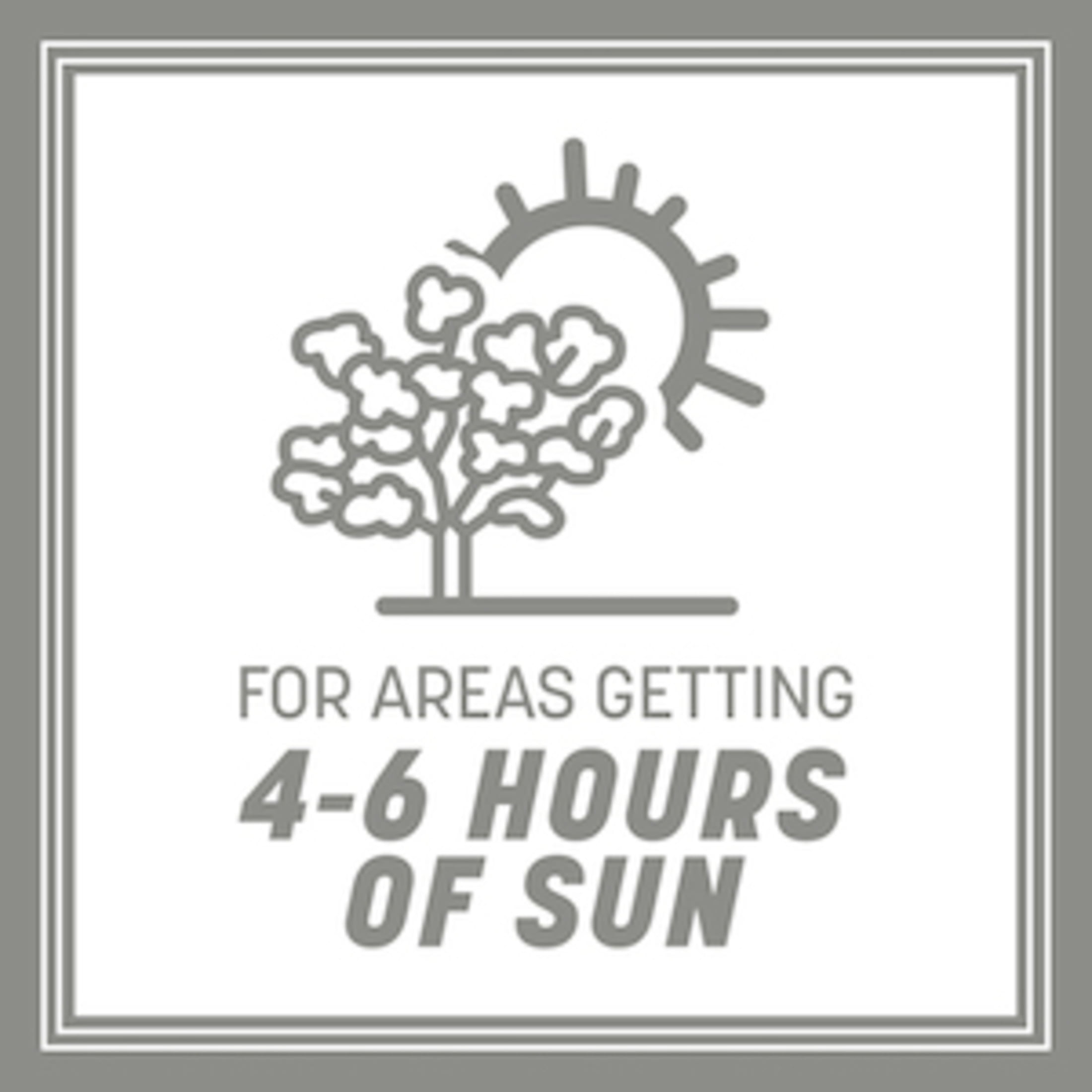 Pennington Contractors Central Zone Grass Seed Mix, for Sun to Partial Shade, 20 lb.