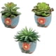 thumbnail image 1 of 3 uds simulación suculentas bonsái decoración creativa flor mesa de comedor plantas de interior plantas verdes en macetas, 1 of 5