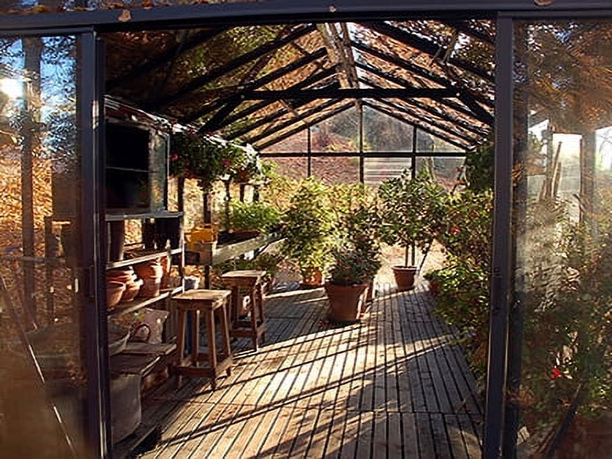 Exaco Royal Victorian VI 36’ x 12’ x 10’ Polycarbonate Greenhouse, Durable Frame