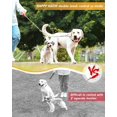 thumbnail image 2 of Double Dogs Lead 2 Way Iron Chain Leash Coupler Twin Pet Trainer Safety Rope Splitter for Walking Training (M-3.5mm*60cm), 2 of 3