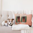 thumbnail image 4 of Ambesonne Rustic Throw Pillow Cover 2 Pack, Old Retro House Shutters, 18", Orange Green White, 4 of 5