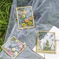 thumbnail image 4 of Hbdhejl Creative Handmade Diy Picture Frame Dry Flower Specimens 4, 4 of 5