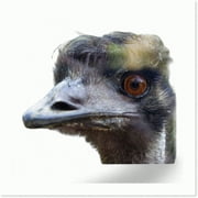 Emu's Delight: Taronga Zoo Edition - Sydney Souvenir Quilt Square, 6x6-Inch, Australian Wildlife-Inspired Keepsake