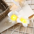 thumbnail image 4 of AAOMASSR 20-LED String Light Hawaiian Foam Artificial Plumeria Flower Battery Powered Fairy Starry Lights for Wedding Beach Party, 4 of 5