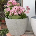 thumbnail image 6 of Round Succulent Pot for Indoor All House Plants with Drainage Hole Sandstone, 6 of 8