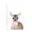 Bubblegum Fawn Portrait, variant on Stupell Industries Contemporary Giraffe on White Portrait Black Framed Giclee Art, 11 x 14, by Sisi and Seb