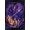 Black Framed Version, variant on Ruth Thompson - Dragonblade Netherblade Wall Poster, 14.725" x 22.375"
