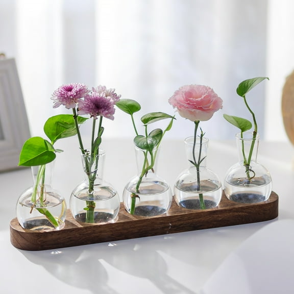 Glasseam Plant Terrarium Propagation Station: Set of 5 Glass Planter Bulb Vase With Wooden Tray Desktop Flower Vase Hydroponics Glass Vase for Plants Cutting