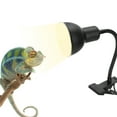 thumbnail image 4 of EU Plug 220V, Reptile Heat Lamp Fixing Reptile Sun Lamp Anti Slip  For Turtles For Lizards, 4 of 8