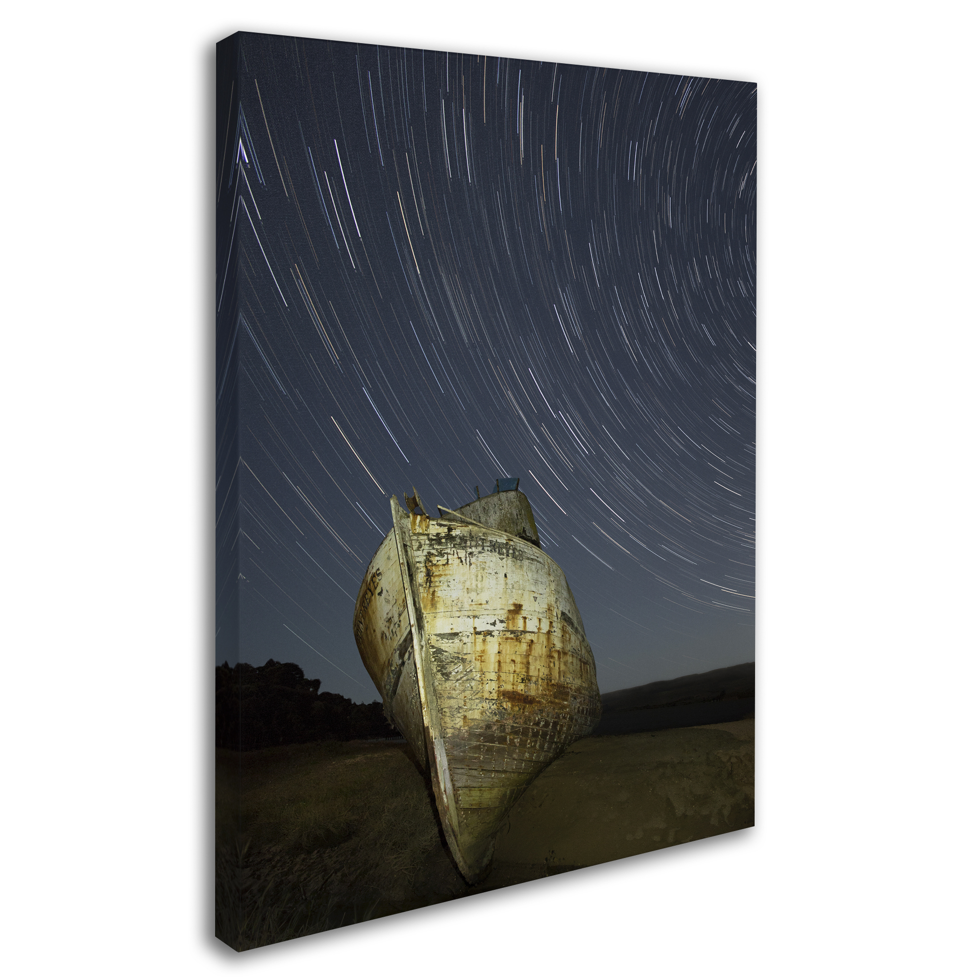 Trademark Fine Art "Point Reyes II" Canvas Art by Moises Levy