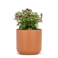 thumbnail image 2 of Classic Planter, 2 of 4