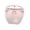 B, variant on Face Protective Sunglasses Visor, Anti-Fog Unisex PC Panel Shield, Breathable Detachable Nose Pad Outdoor Sports Face Cover Sunglasses