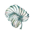 thumbnail image 3 of Tre Sorelle Studios 15x15 Black Modern Framed Museum Art Print Titled - Island Leaf III, 3 of 5