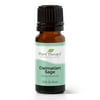 Plant Therapy Dalmatian Sage Essential Oil 10 mL (1/3 oz) 100% Pure, Undiluted, Natural Aromatherapy