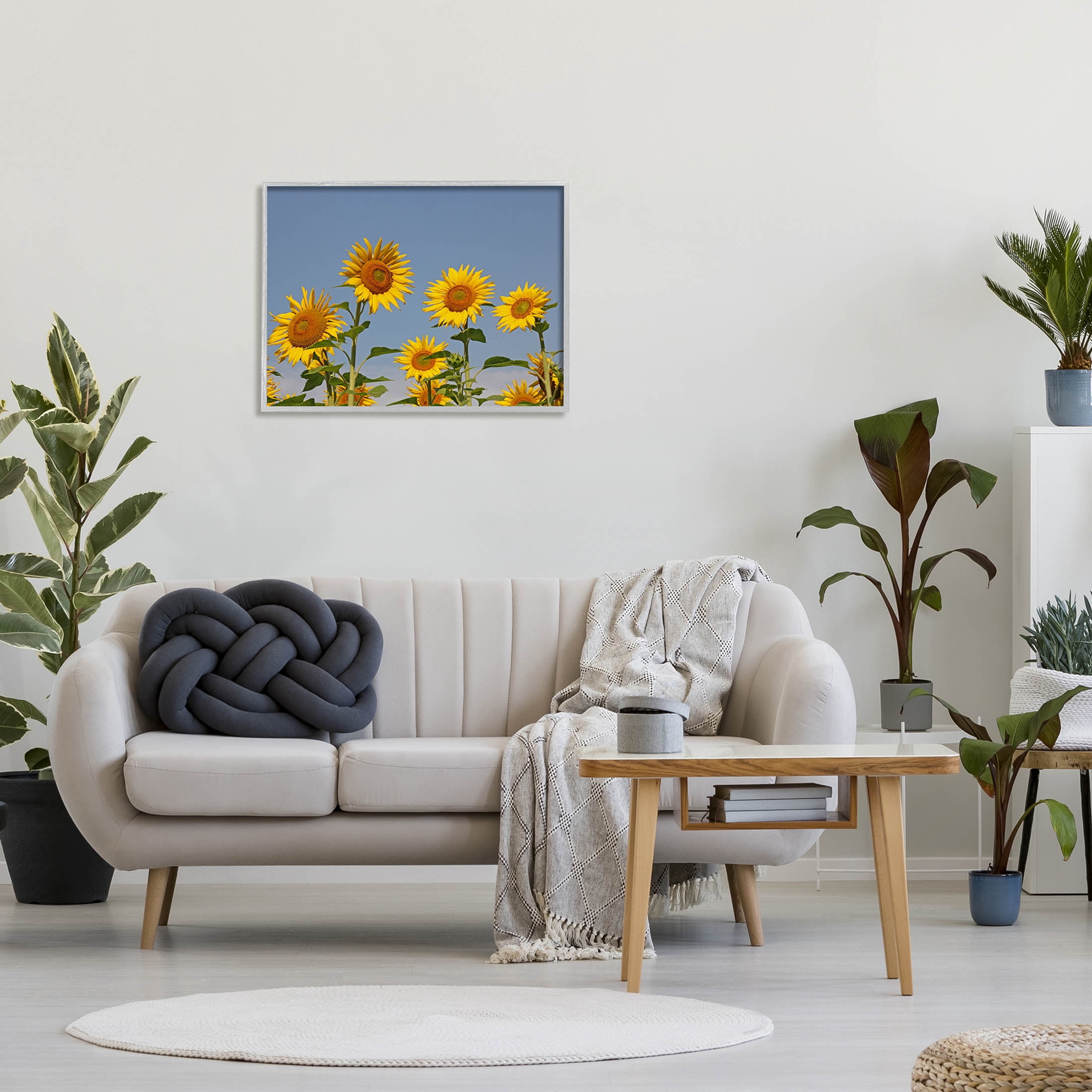 Sunflower Field Clear Sky Botanical & Floral Photograph Gray Framed Art Print Wall Art