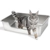 Image thumbnail_image