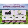 thumbnail image 3 of Immunia Fusion - Enhance Your Immune Support. A Powerful Formula Made with elderberries, elderflowers, and Blue Fruits Rich in polyphenols. A Concentrated antioxidant Formula. (1-Pack), 3 of 4