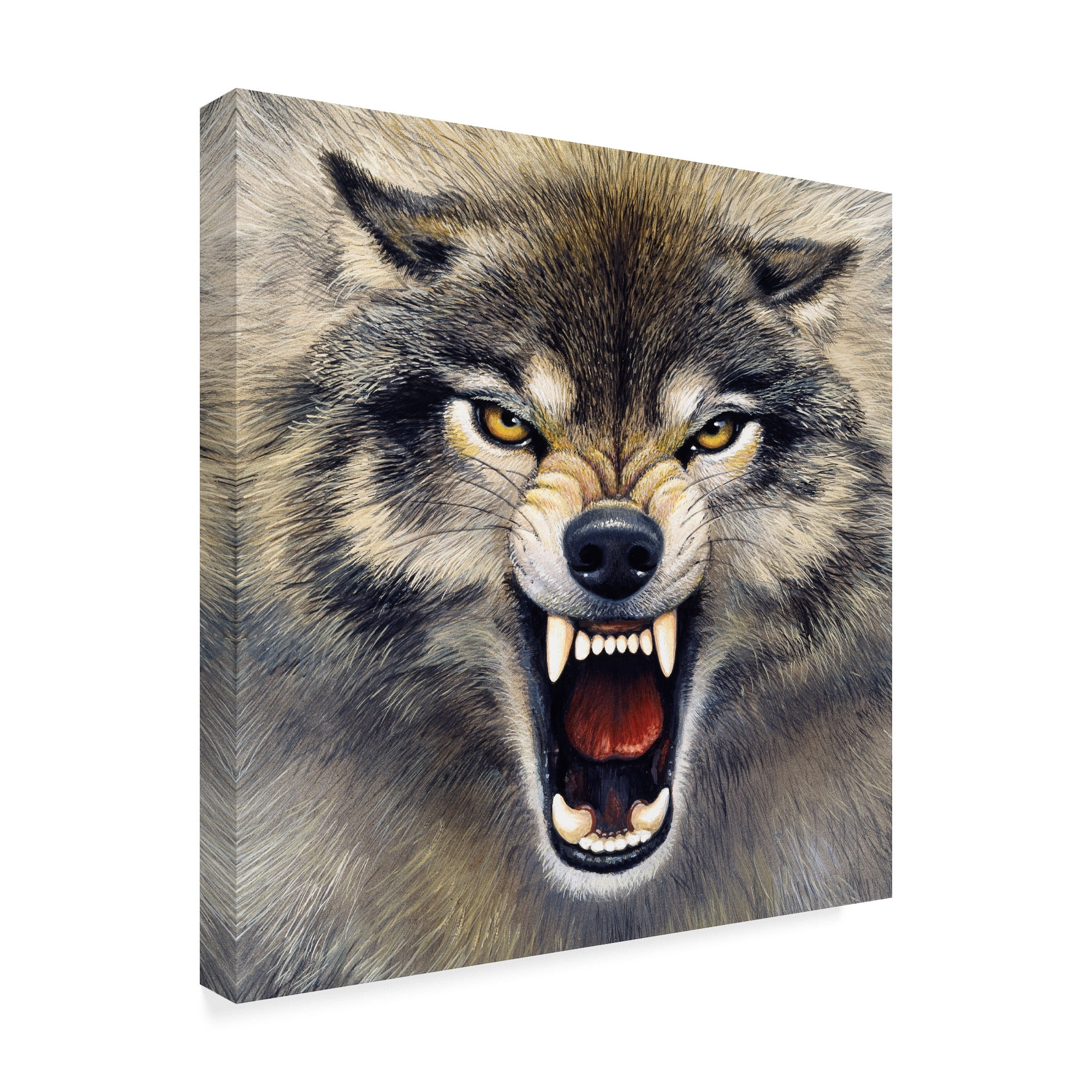 Trademark Fine Art 'Wolf Roaring' Canvas Art by Harro Maass
