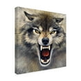 thumbnail image 2 of Trademark Fine Art 'Wolf Roaring' Canvas Art by Harro Maass, 2 of 3