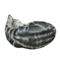 thumbnail image 6 of Hi-Line -Tabby Dreams: Enchanting Black & White Polyresin Sleeping Cat Figurine, 6 of 6