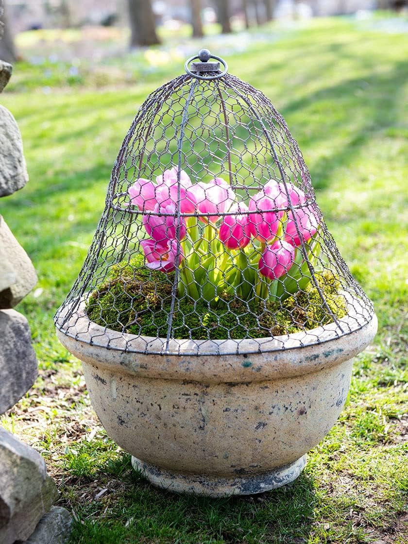 Sturdy Chicken Wire Cloche Plant Protector & Cover | Sturdy Metal Cage Garden Protection for Your Plants and Seedlings | No Assembly Required - 16" in Diameter x 12-1/2" H