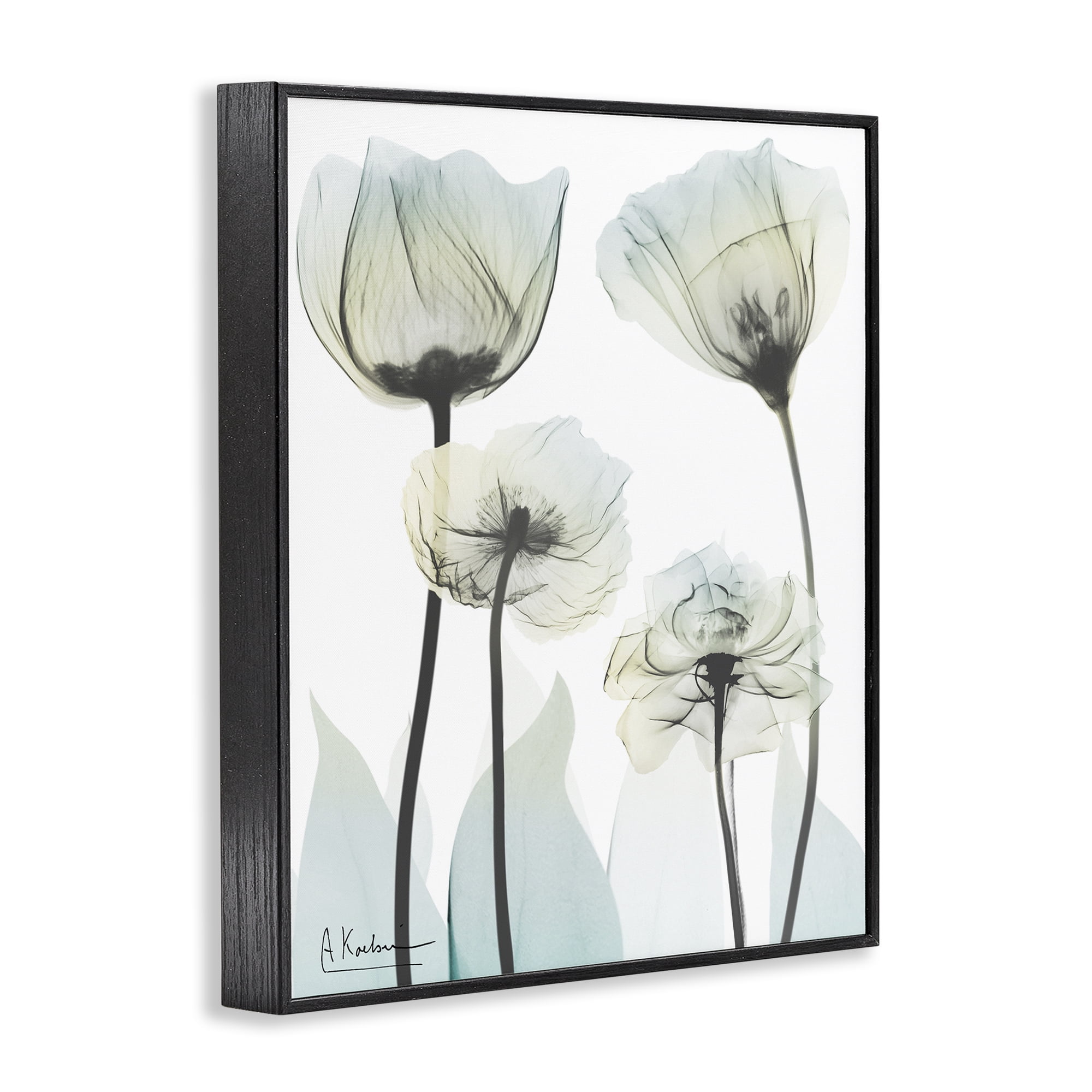 Stupell Industries Floral Luxury Of Creation Black Framed Giclee Art, design by Albert Koetsier