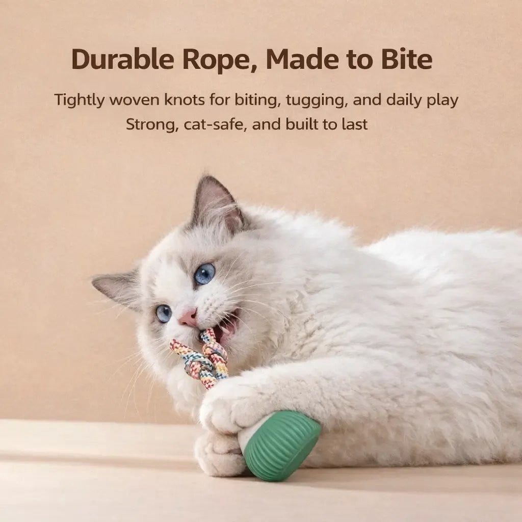 2026 New Interactive Dog Toys with Rotating Cotton Rope,Automatic Moving Interactive Cat Toy,3 Speed Modes, USB Rechargeable Smart Motion Rolling Ball with Tail Rope,Indoor for Kittens & Small Dogs