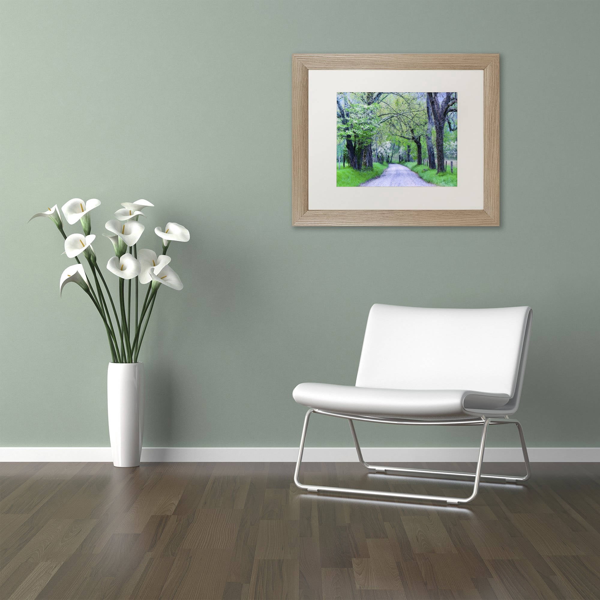 Trademark Fine Art "Cades Cove Lane" Canvas Art by Michael Blanchette Photography White Matte, Birch Frame