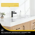 thumbnail image 6 of Leon 60" Bathroom Vanity in Fir Wood Brown with Composite top in Lightning White, 6 of 16