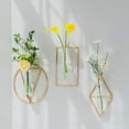 thumbnail image 5 of Decoración de pared creativa, colgante hidropónico, jarrón de vidrio, colgante de pared de hierro, decoración de pared de habitación, 5 of 5