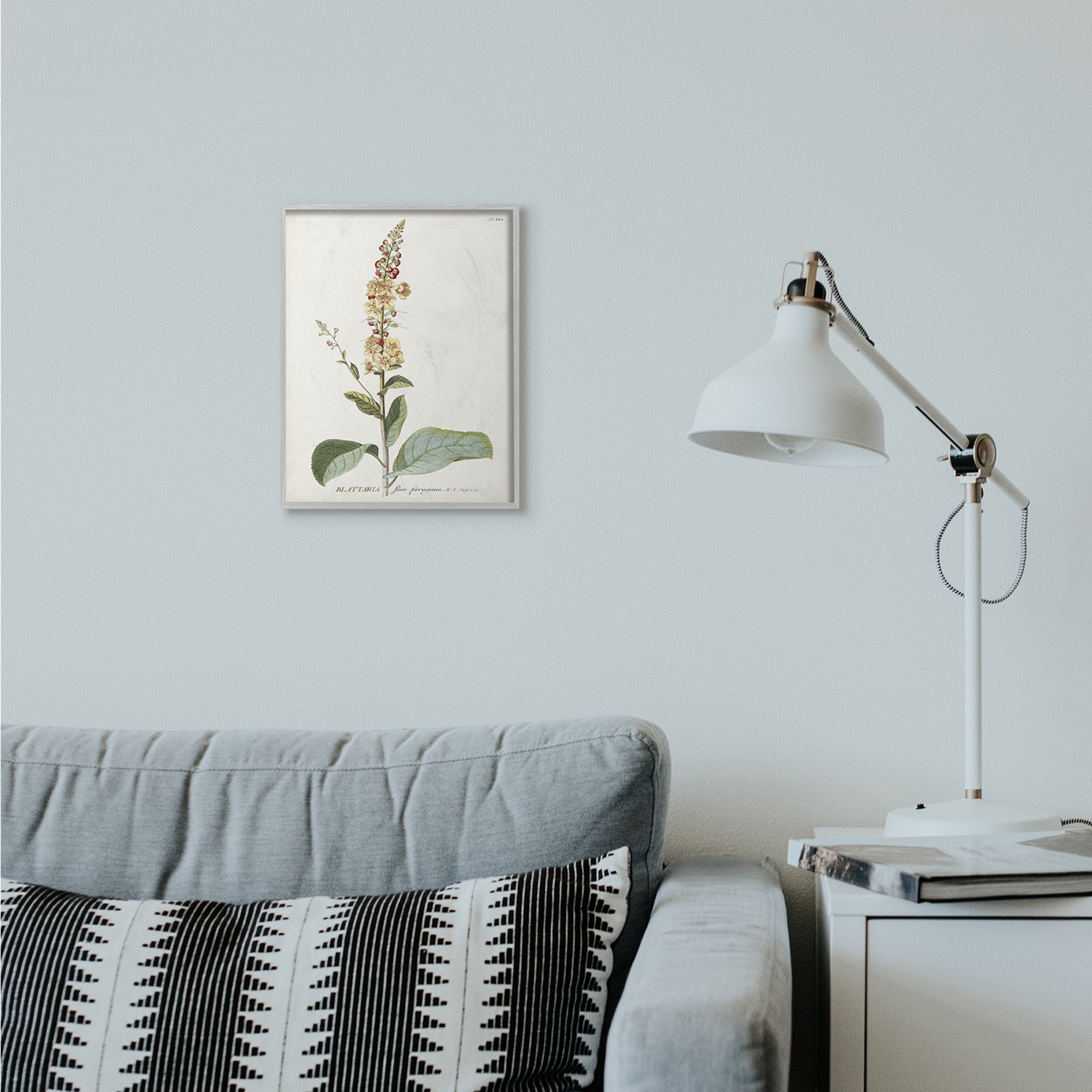 Stupell Industries Botanical Plant Illustration Flowers Vintage Design Framed Wall Art by Unknown