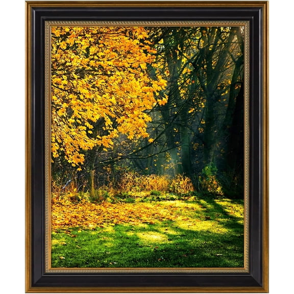 16x20 Ornate Gold and Black Picture Frame with Real Glass and Built-in Wall Hangers