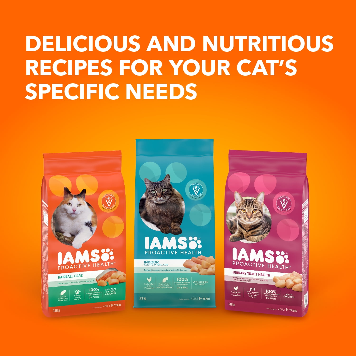 Nourriture sèche pour chats IAMS PROACTIVE HEALTH Chat âgé en santé avec poulet, sac de 3,18 kg