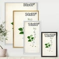 thumbnail image 4 of Ancient Botanicals XV 12 in x 20 in Framed Painting Canvas Art Print, by Designart, 4 of 5