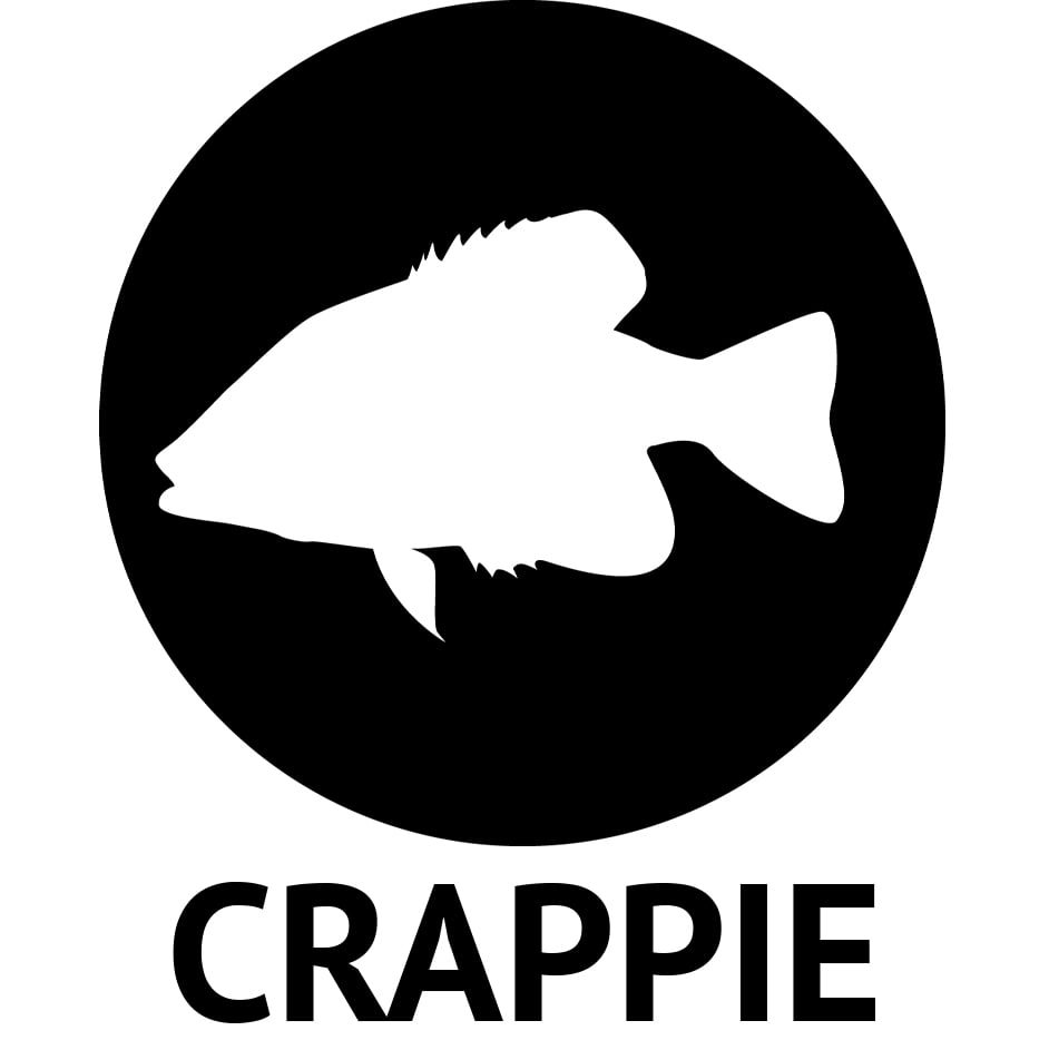Northland Tackle Thumper Crappie King Spinning Jig Pre-Rigged Plastic Lure for Crappie Fishing, 1/16 oz, Pinky