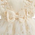 thumbnail image 5 of KPOPLK Baby Girl Floral Tulle Princess Dress Long Sleeve Cute Tutu Skirts Romper with Lace Headband for 3 6 9 12 18 Months(Beige,3-6 Months), 5 of 8