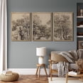 thumbnail image 2 of IDEA4WALL Framed Canvas Print Wall Art Set of 3 Vintage Aged Tree Ancestral Grove Illustrations Nature Wilderness Forest Prints Wall Decor Retro Minimal Artwork For Home Decor - Natural 24"x36"x3, 2 of 5