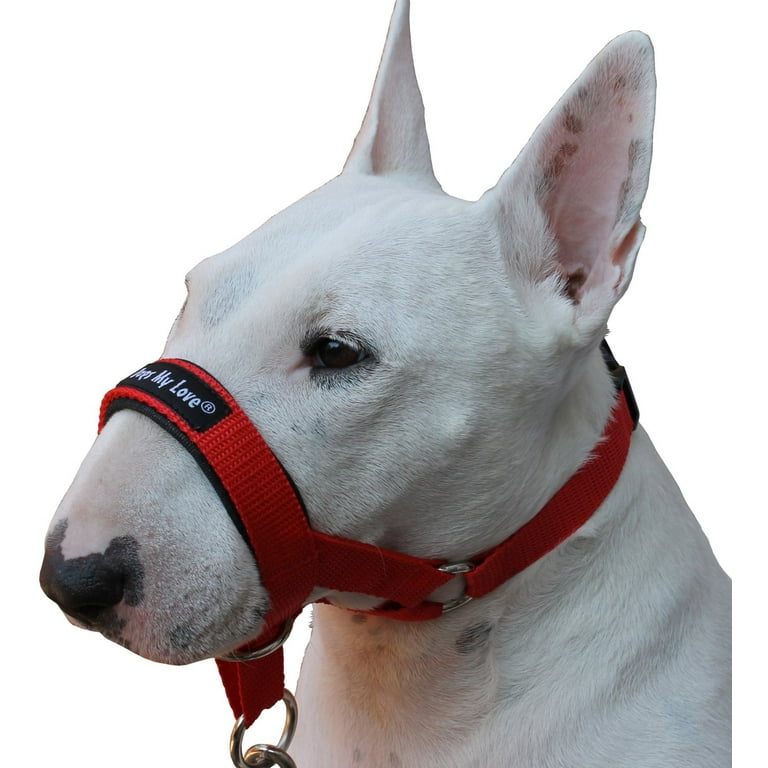 Dogs My Love Dog Head Collar Halter Red 6 Sizes S 6.5