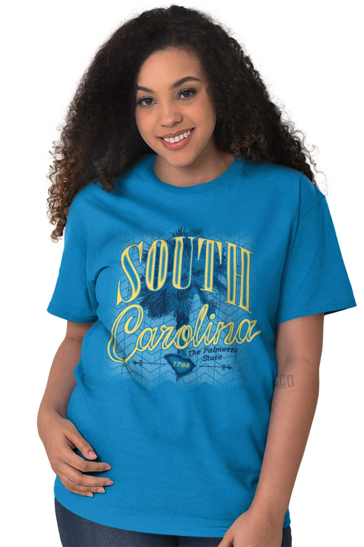 Brisco Brands Palmetto State South Carolina Myrtle Beach Graphic T Shirt Men Or Women Brisco Brands Walmart Com Walmart Com