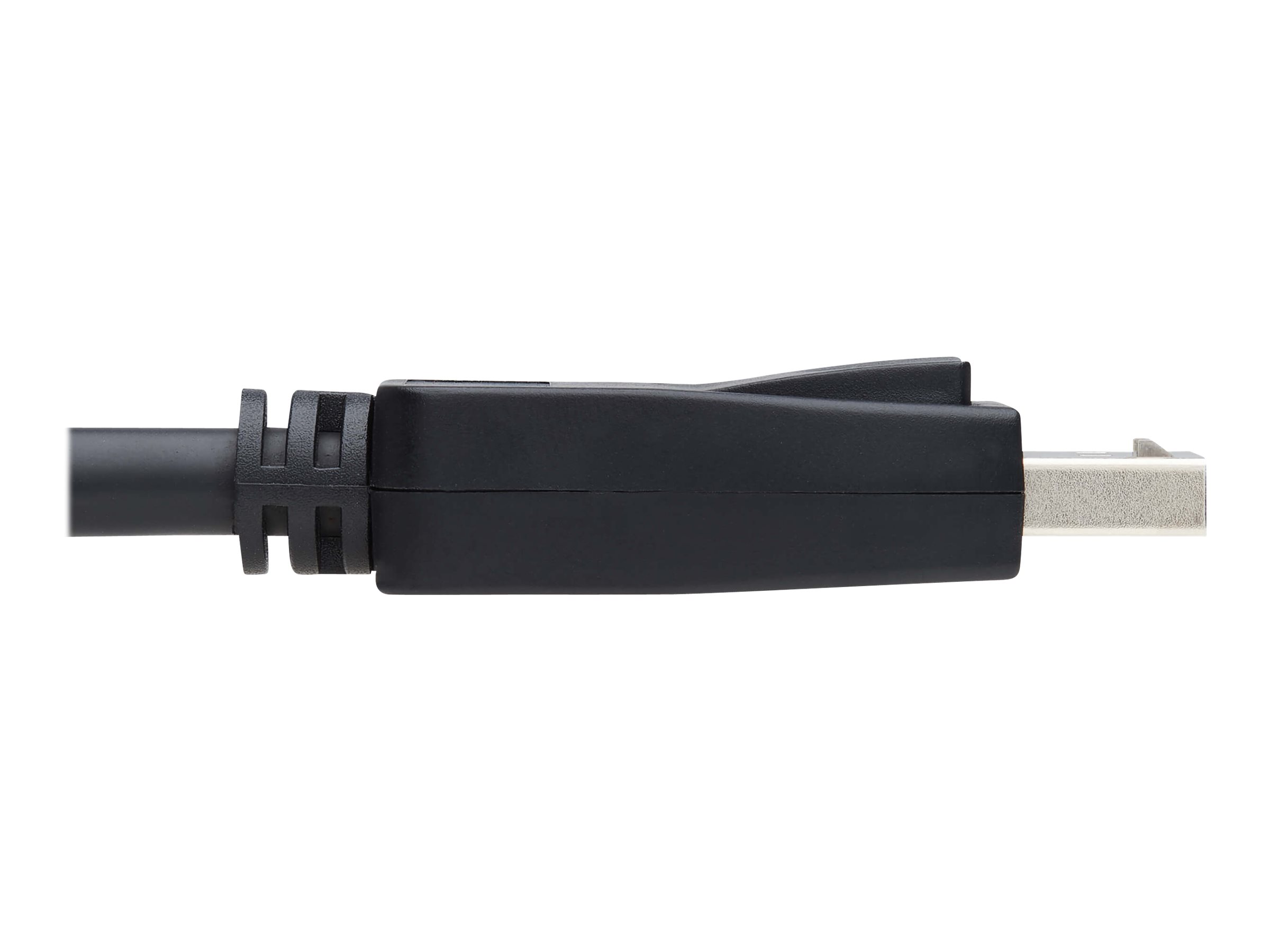 Tripp Lite 6ft DisplayPort Extension Cable with Latches (M/F) P579-006