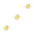 thumbnail image 4 of Eigraketly Señuelos de pesca Aparejos Cebo Barco de mar Señuelos de peces Cebos de agua dulce Beige Type1 NO1 Eigraketly CBP268859, 4 of 6