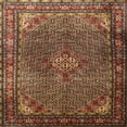thumbnail image 1 of Ahgly Company Machine Washable Indoor Square Traditional Saffron Red Area Rugs, 8' Square, 1 of 7