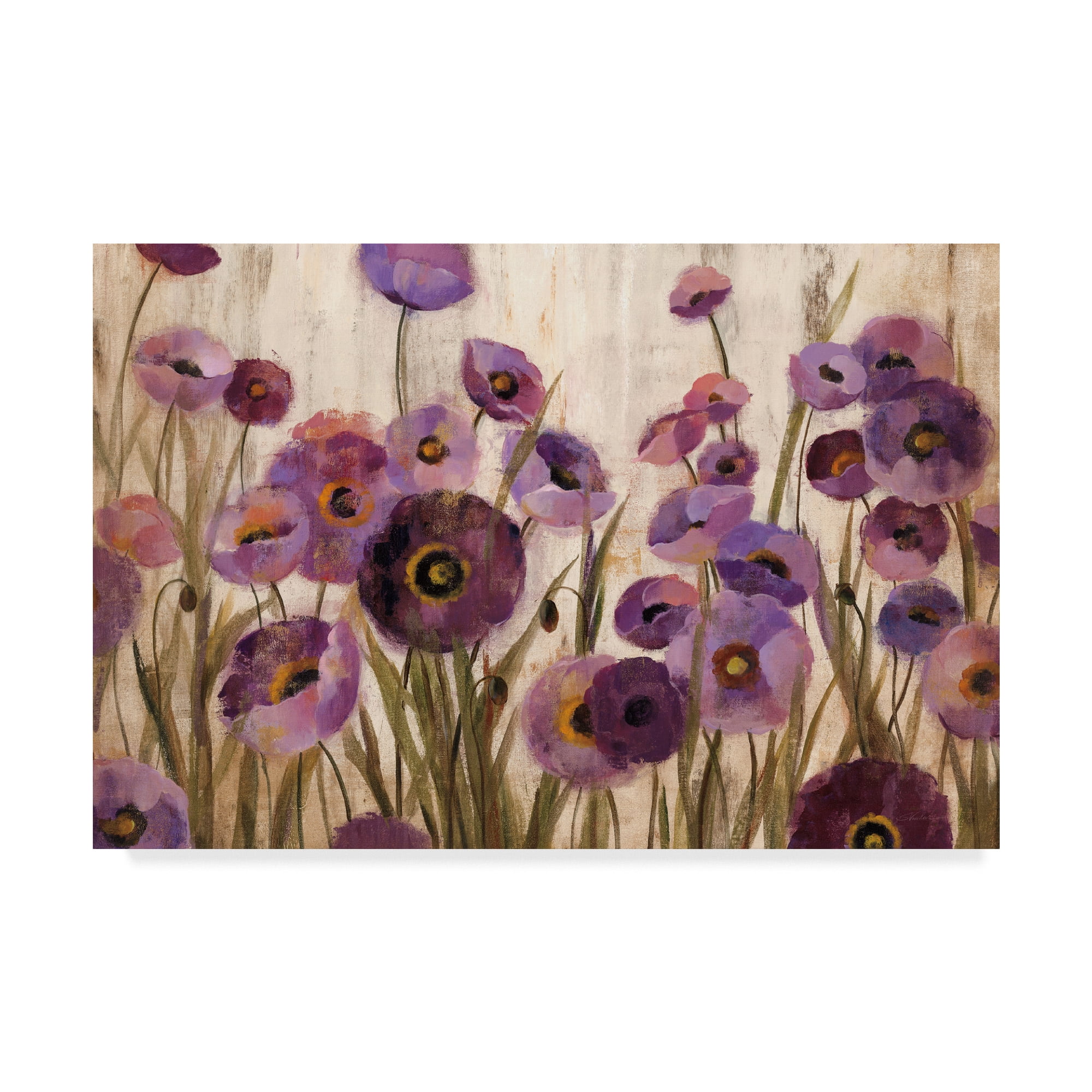 Trademark Fine Art 'Pink and Purple Flowers' Canvas Art by Silvia