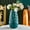 Green, variant on Plastic Glazed Vase - Green Faux Ceramic Flower Vase, Modern Decorative Vessel for Dried Flower Arrangement Living Room TV Cabinet